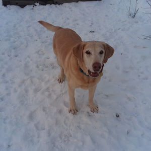 Meet your Posher, Saundra